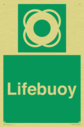 lifebuoy-with-symbol~